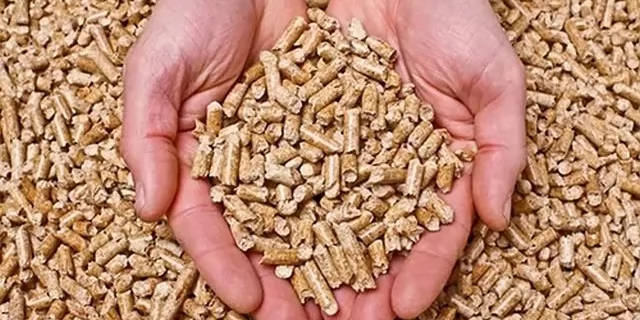 Pelet Yakıt Kullanımı Türkiye Genelinde Yaygınlaşıyor